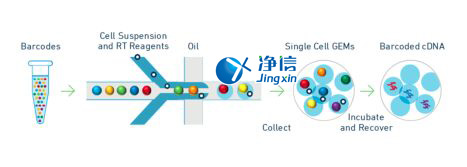 中國人自己的微流控單細(xì)胞測序儀來了！_微流控Drop-seq,微流控技術(shù)