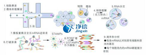 中國人自己的微流控單細(xì)胞測序儀來了！_微流控Drop-seq